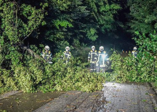 Einsatzkräfte der Feuerwehr bergen auf einer Kreisstraße in Gschwend einen umgestürzten Baum. Foto: (dpa)
