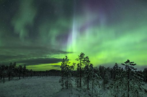Polarlicht in Jokkmokk, Landkreis Norrbotten, in Schwedisch-Lappland. Foto: Imago/Imagebroker