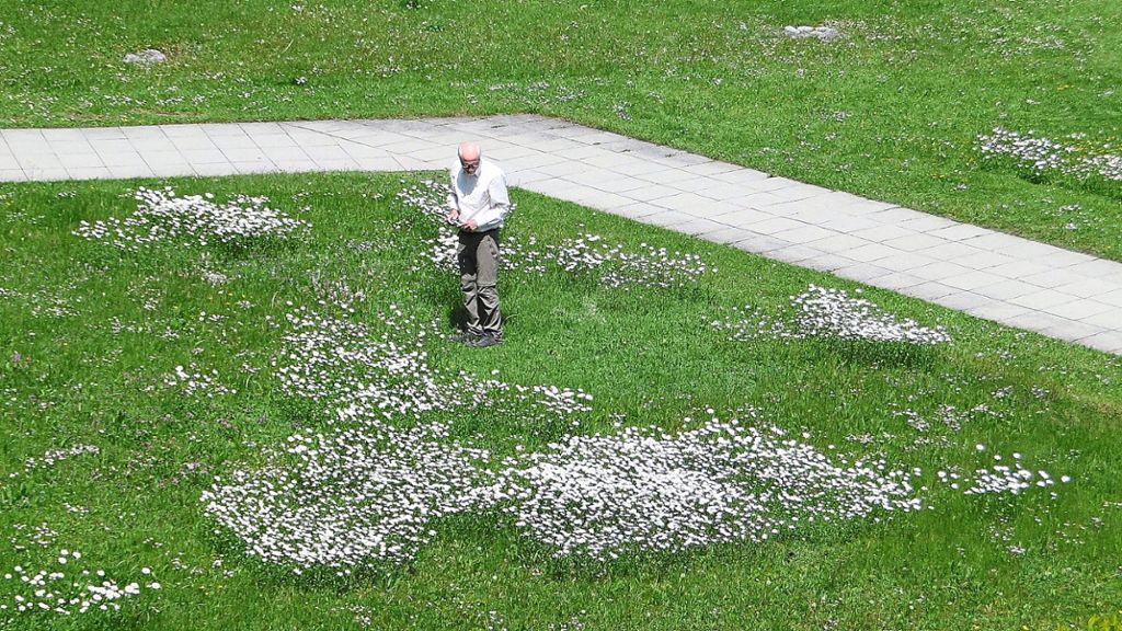 Besser als nur grüne Rasenstoppel: Rolf Schäfer vor einem Teil der Blumenwiese in der Wöschhalde. Foto: Huber