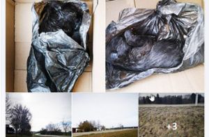 Eine Albstädter Tierfreundin hat die Fotos vom grausigen Fund im Gewerbegebiet auf ihrer Facebook-Seite geteilt und einen Sturm der Entrüstung unter Tierliebhabern der Region ausgelöst. Foto: Screenshot