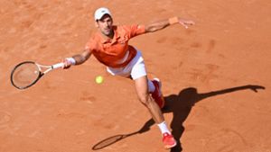 Tennisstar Djokovic giert nach dem Titel