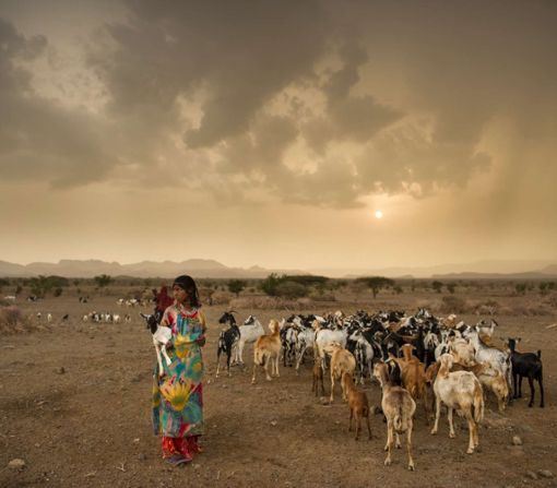Auch die Viehhaltung thematisert Christoph Krackhardt mit seinen Aufnahmen. Foto: Schwarzwälder Bote