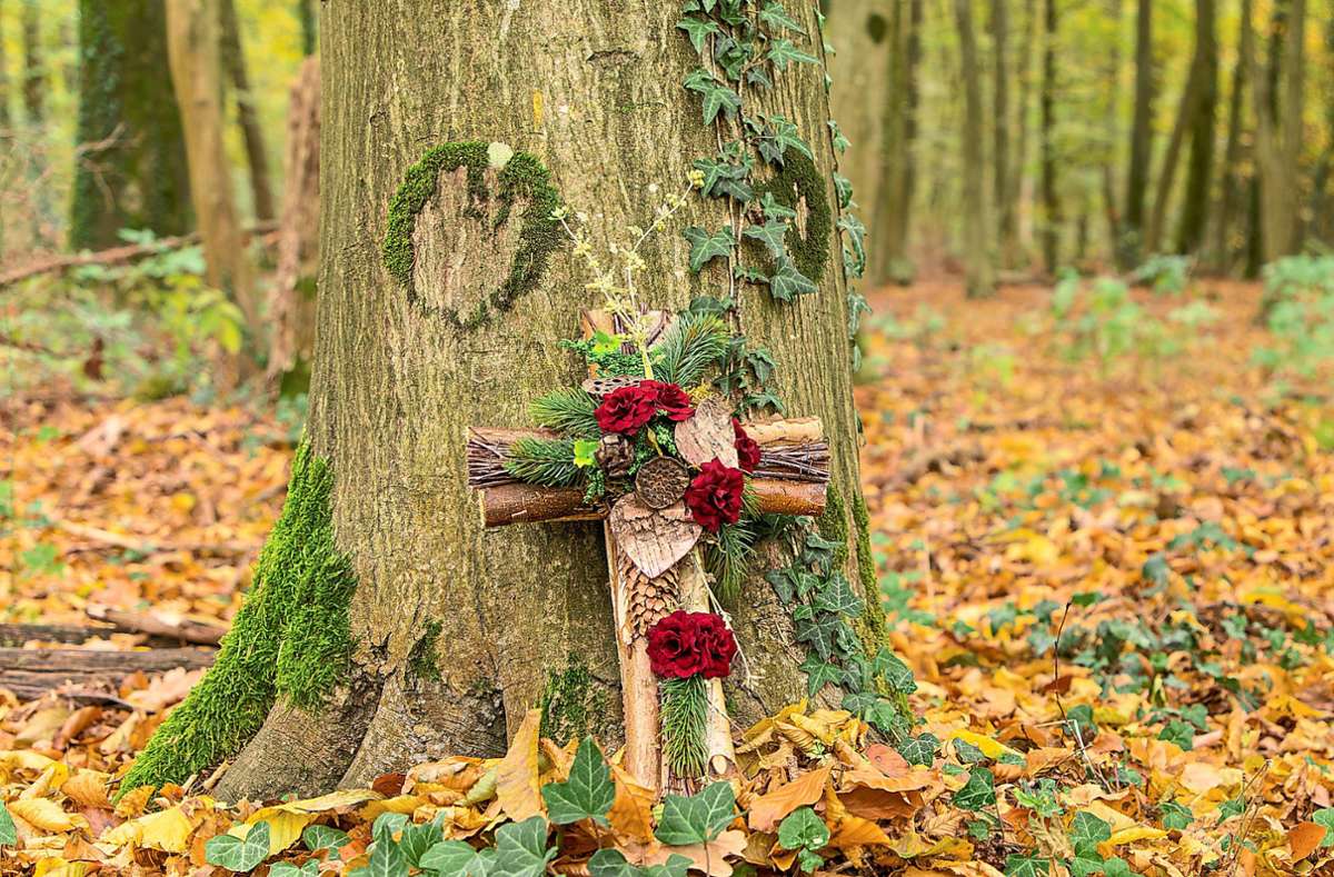 Immer mehr Menschen wünschen sich, im Wald unter einem Baum zur letzten Ruhe gebettet zu werden. Foto: © familie-eisenlohr.de - stock.adobe.com