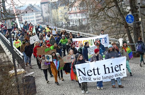 Fridays for Future Villingen-Schwenningen hatte zum Protestmarsch aufgerufen. Foto: Marc Eich