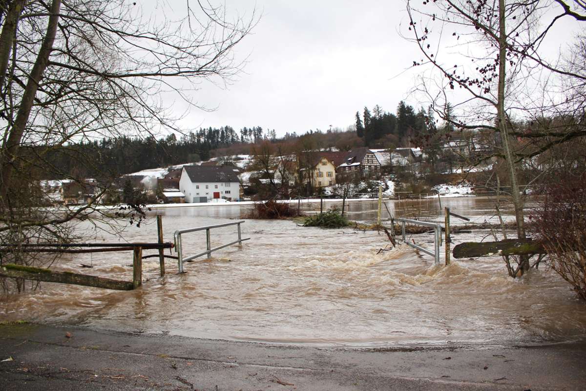 In Horgen hat die Eschach 2019 die große Wiese bei der Minigolf-Anlage überflutet.