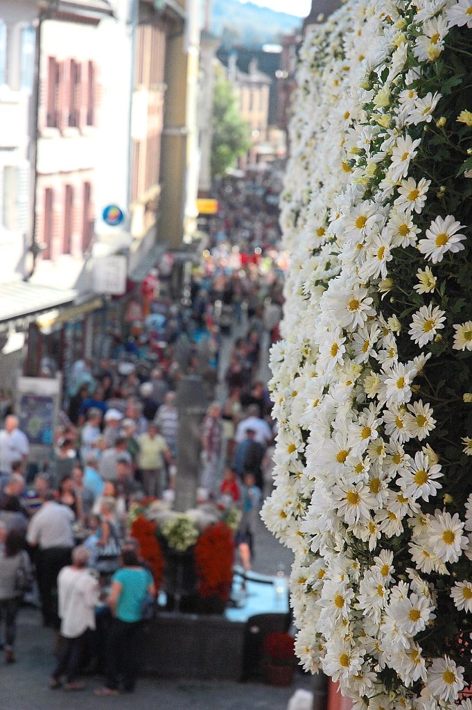 Ein gewohntes Bild zur Chrysanthema: Die Marktstraße ist von oben bis unten mit Besuchern gefüllt. Am verkaufsoffenen Sonntag luden die Geschäfte zur Schnäppchenjagd ein.