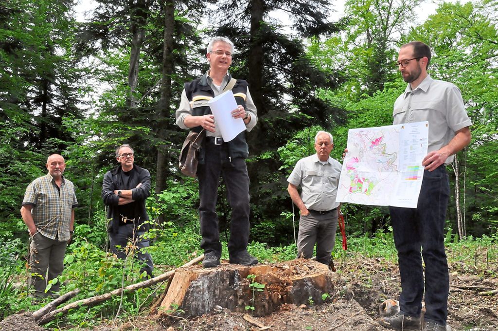 Andreas Kaphegyi (großes Bild, Mitte) begrüßt den Gemeinderat zur Waldsitzung. Auf dem rechten Bild sieht sich die Gruppe mit Bürgermeister Harry Frick (rechts) kranke Eschen an.  Fotos: Dick