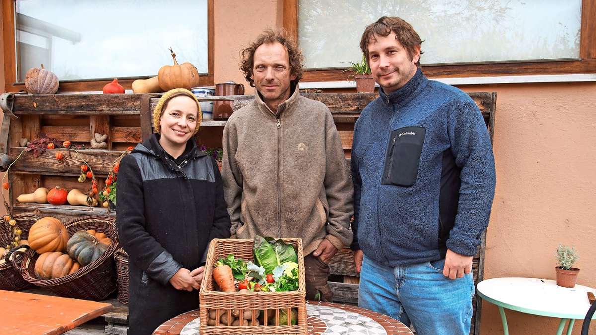 Landwirtschaft in Bad Liebenzell: Salate und Kräuter schonend und direkt zum Kunden bringen