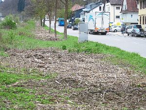 Weder die Bahn noch die Stadt Oberndorf fühlen sich für die Pflege des Geländes zwischen Bahn und Stuttgarter Straße zuständig.  Foto: Wössner Foto: Schwarzwälder-Bote