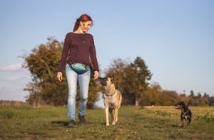 Hundetrainerin Lilian Sulzer legt bei ihrem Training großen Wert auf die gegenseitige Kommunikation zwischen Mensch und Hund. Foto: Devin Mühür