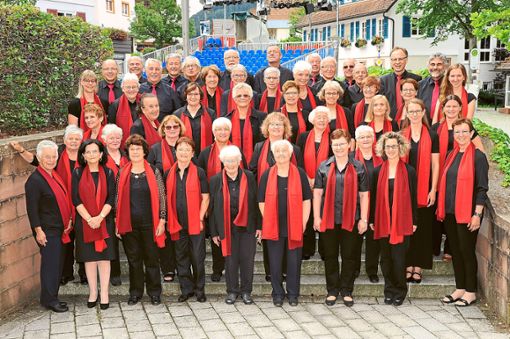 Chor und Orchester der Marienkirche treten bei einem Weihnachtskonzert auf. Foto: Chor Foto: Schwarzwälder Bote