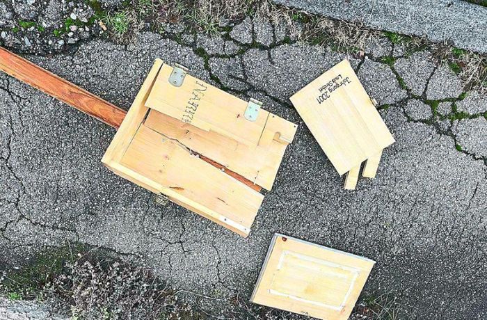 Fasnets-Aufreger: Unbekannte demolieren Narrenblatt-Briefkasten der Schömberger Zunft