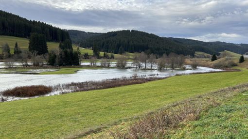 Aufgrund der Regenfälle kam es  an der Breg oberhalb von Vöhrenbach zu Hochwasser. Das Amt für Umwelt, Wasser- und Bodenschutz des Landratsamtes Schwarzwald-Baar-Kreis hat die Situation im Blick. Foto: Landratsamt Schwarzwald-Baar-Kreis