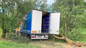 Lastwagen kracht in Obstbäume