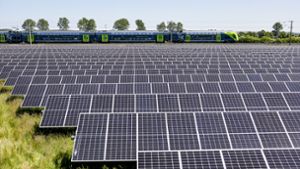 Geplant ist in Ottenheim eine Freiflächen-Photovoltaikanlage auf knapp 65 Ar – wobei nicht die gesamte Fläche mit Solarmodulen überschirmt werden soll. Foto: dpa/Axel Heimken