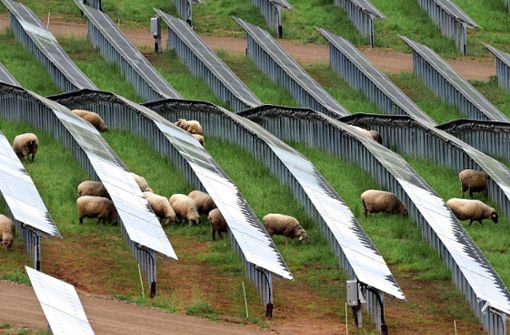 Das Unternehmen Vento Ludens plant, die Solarparks in Irslingen mit Schafen zu bewirtschaften. (Symbolfoto) Foto: Harald Tittel/dpa