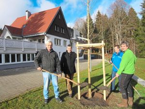 Günter Auer (von links), Frank Bonath, Thomas Hauser und Daniel Auer  sorgen für einen Gießrand für den neu gepflanzten Ginkgo-Baum bei der Bernhardshütte. Foto: Preiser Foto: Schwarzwälder Bote