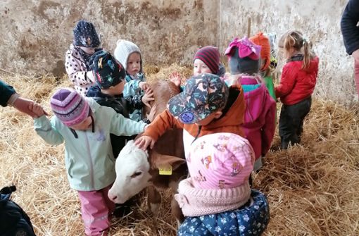 Auf den Lernbauernhöfen im Kreis kommen Kinder mit Tieren in Kontakt und erfahren, woher Lebensmittel stammen. Foto: sb/Rebecca Gaiser
