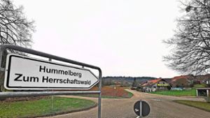 Das Kippenheimer Baugebiet „Herrschaftswald“   soll für rund 830 000 Euro vorangebracht werden. Foto: Decoux