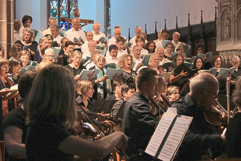 Beim Sommerkonzert in der Calwer Stadtkirche überzeugten alle Mitwirkenden.  Foto: Tröger Foto: Schwarzwälder-Bote