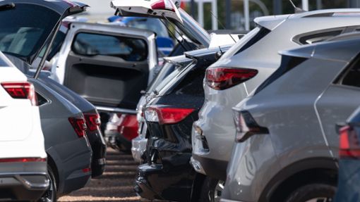 Neuwagen und Gebrauchtwagen stehen bei einem Autohändler nebeneinander. Gründe für den Preisverfall seien etwa die stagnierende Nachfrage nach E-Autos. Foto: Sebastian Kahnert/dpa