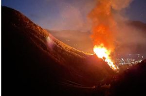 Auf Videos und Fotos war zu sehen, wie sich die Flammen an einem bewaldeten Hang entlang fraßen und dichter Rauch in den Nachthimmel aufstieg. Foto: dpa/LFV S�dtirol