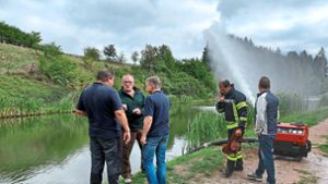 Mitglieder des Anglervereins stellen Fischsterben in Bösingen fest