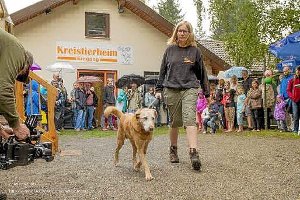 Die Hunde des Tierheims wurden beim Tag der offenen Tür vorgestellt. Foto: Tierheim Foto: Schwarzwälder-Bote
