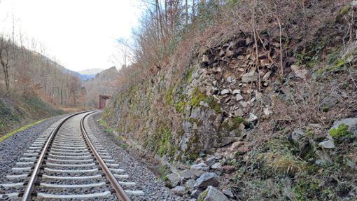 Die Zugverbindung von Hausach nach Freudenstadt ist wegen einer kaputten Stützmauer unterbrochen. Foto: Deutsche Bahn