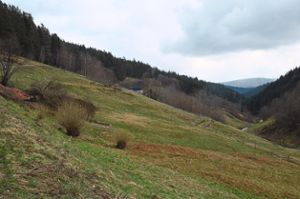 Um die Weideflächen im Bereich Hinter-Wittichen wolfsgerecht einzuzäunen, muss noch einiges verbessert werden. Foto: Herzog