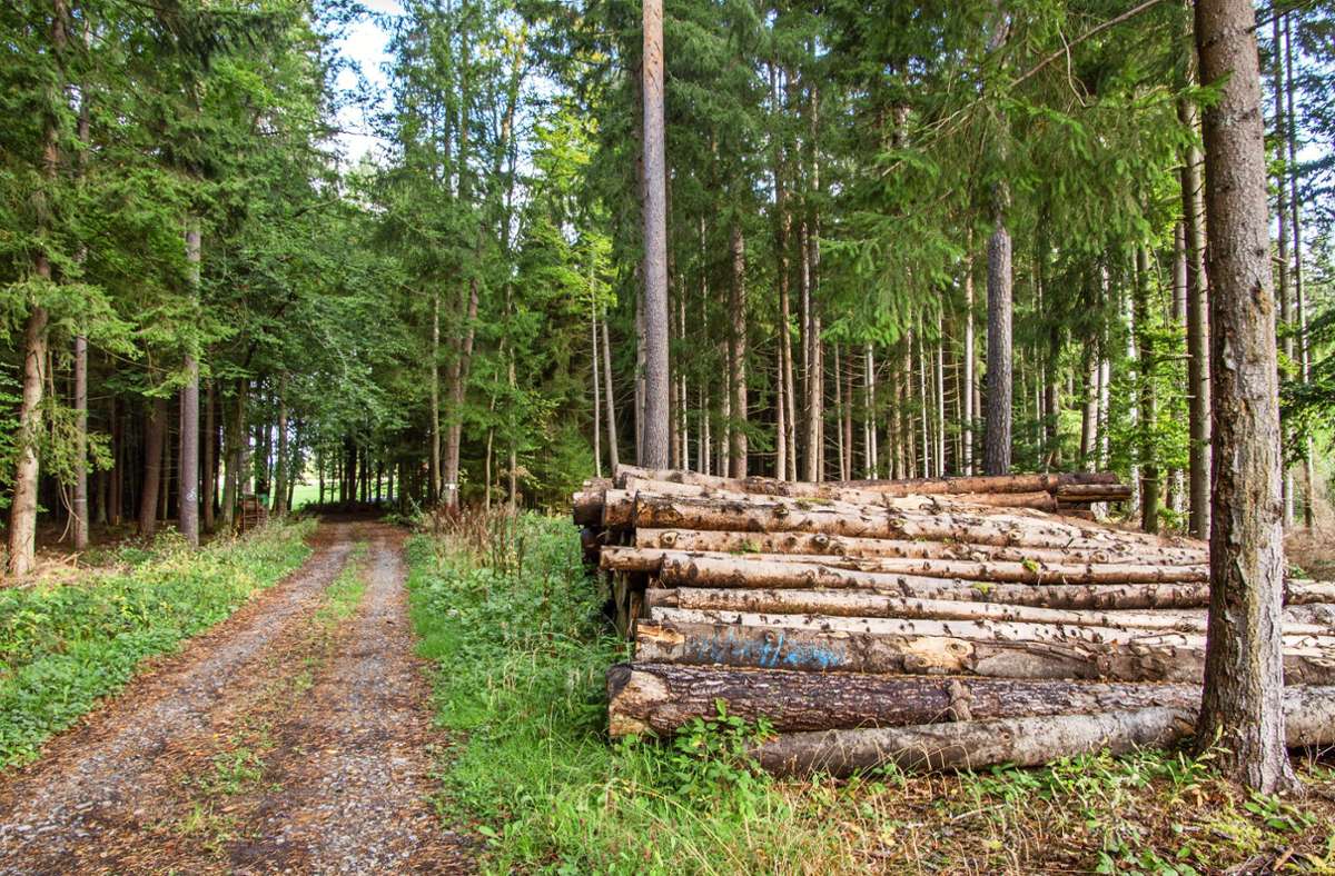 Auch im Jahr 2023 wird in Neubulach Holz gemacht. Foto: Menzler