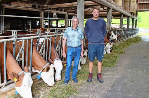 Klaus Duffner (links) mit Betriebshelfer und Landwirtschafts-Meister Michael Schwendemann im Stall seiner Vorderwälder Foto: Störr