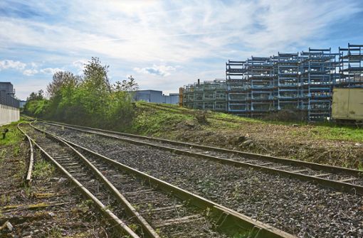 Der Schienenanschluss im Heiligenfeld soll noch stärker genutzt werden. Foto: Jürgen Lück