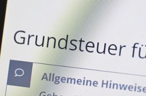 Grundsteuererklärung auf der Seite des Online-Steuerportals Elster. Foto: dpa/Bernd Weißbrod