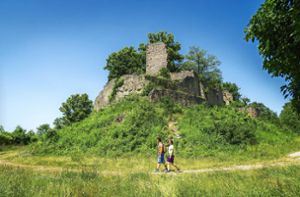 Der 7-Berge-Weg führt auch auf den Nagolder Schlossberg, auf dem ein Besuch der Burg Hohennagold fast unumgänglich ist. Foto: Alex Kijak
