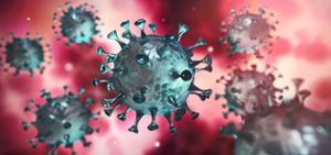 Das Coronavirus hat jetzt auch einen Hechinger Arzt infiziert.  Foto: peterschreiber.media – stock.adobe.com