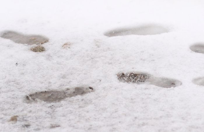 Wetter Zollernalbkreis: Nochmals Schnee - so viele Zentimeter schneit es am Wochenende