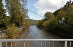 Der Neckar hat vergangene Woche plötzlich wenig Wasser geführt. Foto: Dierolf