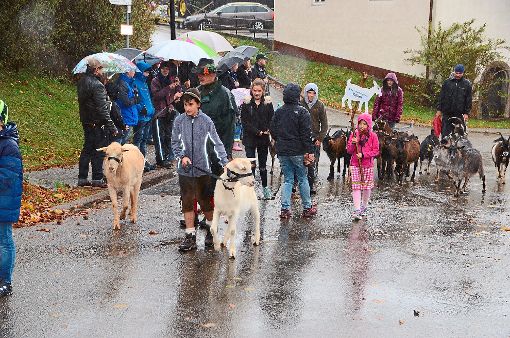 Trotz des schlechten Wetters zogen Menschen und Tiere durch die Straßen von Peterzell. Foto: Schwark Foto: Schwarzwälder-Bote