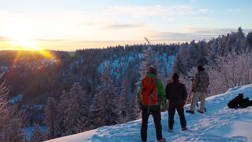 Ausflüge in den Schwarzwald: Die schönsten Winterwanderwege rund um den Nationalpark