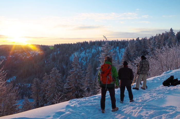 Ausflüge in den Schwarzwald: Die schönsten Winterwanderwege rund um den Nationalpark