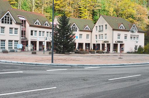 Das geplante Buswartehäuschen am neuen Rathausplatz sorgte für reichlich Diskussionsstoff. Foto: Dold