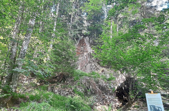 Nationalpark Schwarzwald: Warum vom Traubwasserfall bei Obertal derzeit jede Spur fehlt