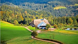 Die Ferienregion Hochschwarzwald wurde als Premium-Wanderregion ausgezeichnet. Foto: Hochschwarzwald Tourismus GmbH/Jessica de Beyer