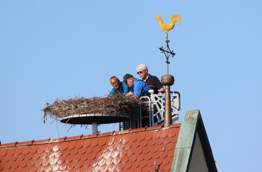 Manfred Bartler, Hartmut Polet und Eugen Heizmann bei ihrem Einsatz am Mühlheimer Storchennest. Foto: Polet