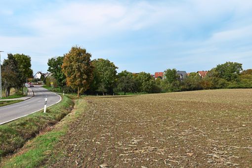 Am Südrand von Isingen soll das lange gewünschte Schuppengebiet entstehen.Foto: Hertle Foto: Schwarzwälder Bote