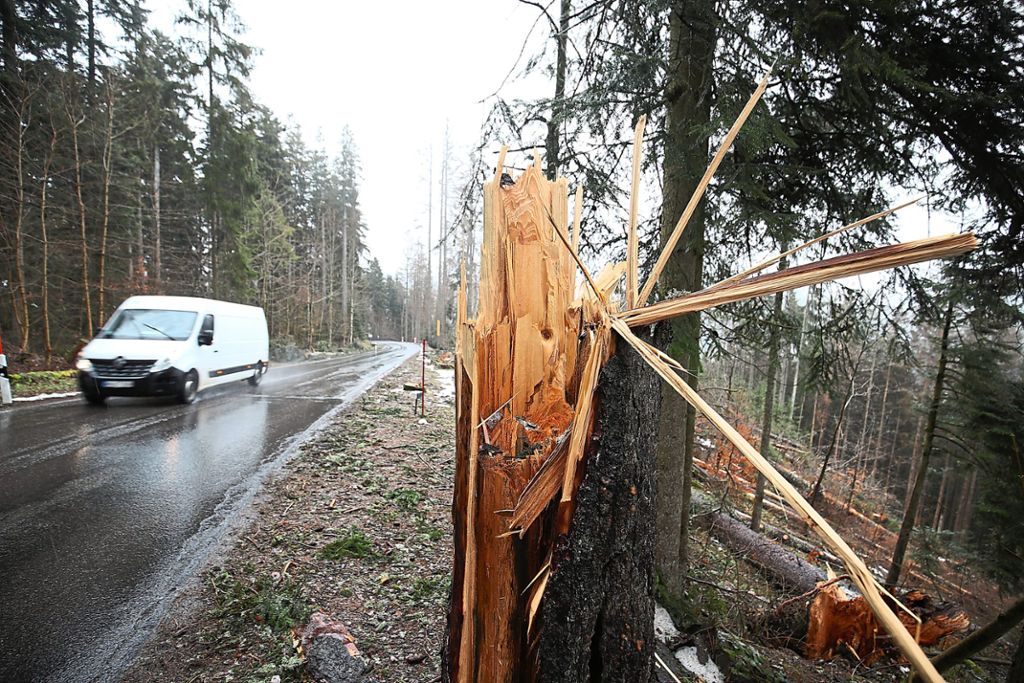 Auch im Bereich der Geutsche hat das Forstamt nach den beiden Stürmen einige Schäden zu verzeichnen.
