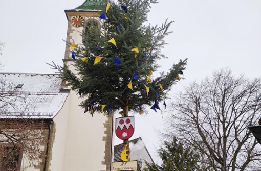 Der Ort Sigmarswangen hat jetzt einen eigenen Narrenbaum. Foto: Kühne