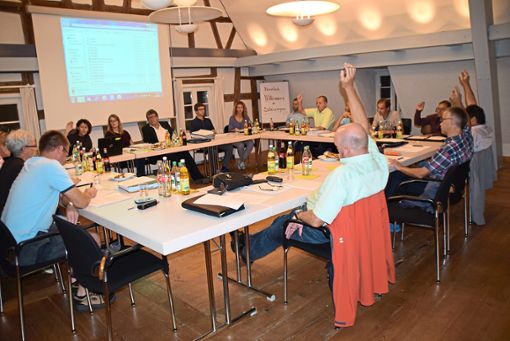 Klare Sache: Der Ortschaftsrat Schörzingen  stimmt mehrheitlich für die Beibehaltung der  unechten Teilortswahl. Foto: Visel Foto: Schwarzwälder Bote