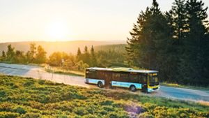 Warum der Bus im Nationalpark nur einmal pro Stunde kommt